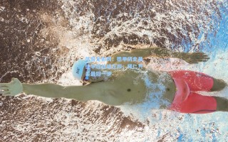 体育足彩网：德甲历史最佳半程战绩在即，拜仁只差最后一步