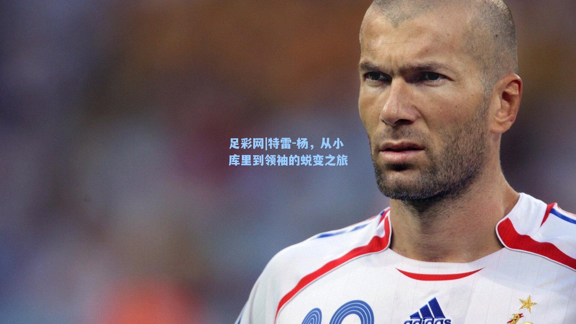 足彩网|特雷-杨，从小库里到领袖的蜕变之旅-第1张图片-中国足彩网-国家体育总局体育彩票管理中心官方网站